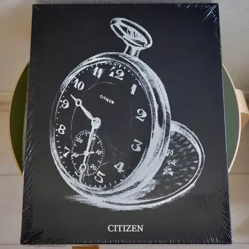 CITIZEN THE ESSENCE OF TIME 서적