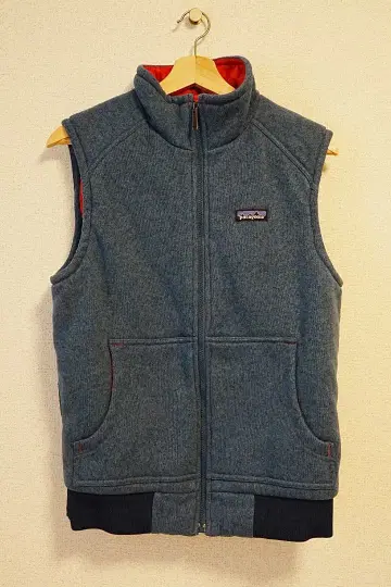 patagonia 남성용 베스트 S 파랑