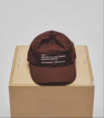 TODAYFUL 'TDFL' Useful Cap