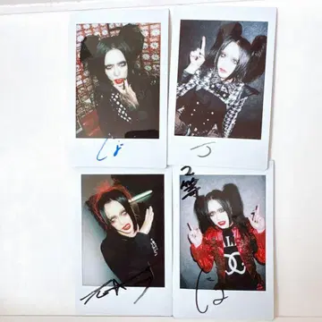 갤로 죠죠 폴라로이드