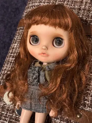 네오 브라이스 작가님 핸드메이드 커스텀 브라이스