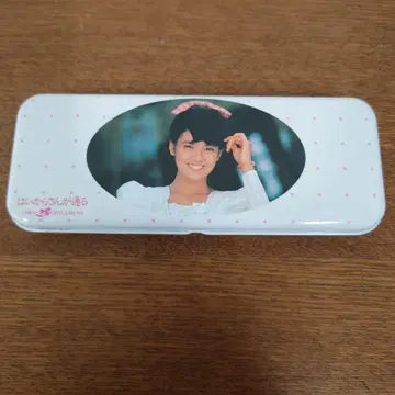 하이카라 씨가 간다 미나미노 요코 필통 쇼와 레트로