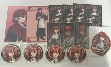 하나사키 미야비 홀로스타즈