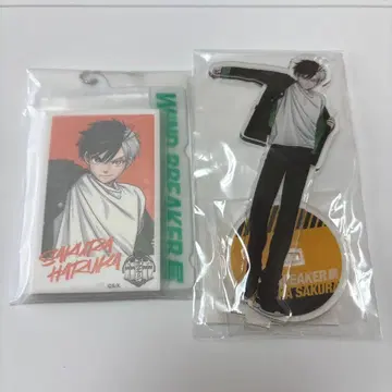 WIND BREAKER전 윈브레전 벚꽃 하루카 아크릴 스탠드 입장 혜택