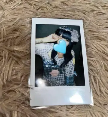 하야테 러브시크 핑 폴라로이드