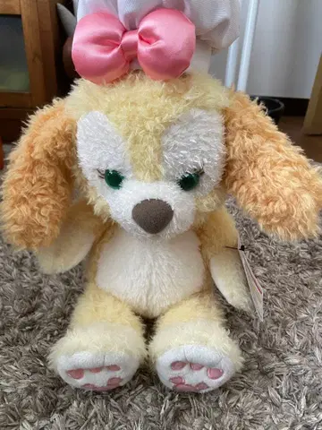 도쿄 디즈니 씨 쿠키 앤