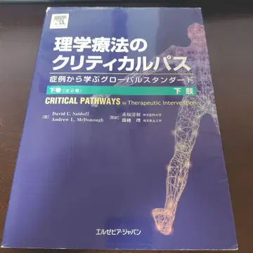 물리치료의 크리티컬 패스 하 하지