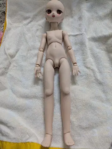 MDD 베이스 바디 (DD-f3 세미 화이트 커스텀품