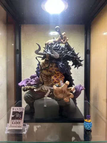 카이도 SP상 니카 A상