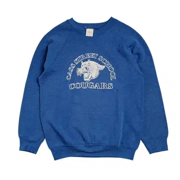 80s 빈티지 프룻 오브 더 룸 맨투맨 굿 프린트