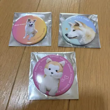 시부야 하치코 하치후루 캔 배지 3개 세트