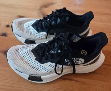 THE NORTH FACE 서밋벡티브 프로 II