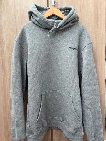 파타고니아 피츠로이 호라이즌 업라이저 후디