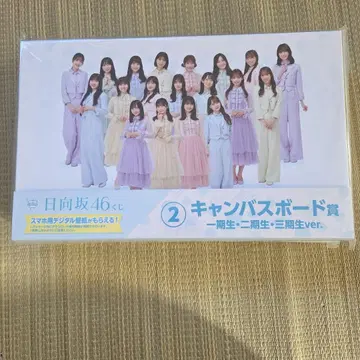 히나타자카46 캔버스 보드상 2조