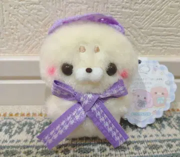 스쿳토 타치 씨 콘 카페 체크 코코아 물범 씨 밀크 스미레