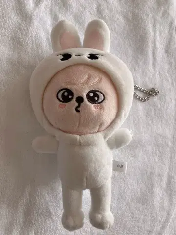 StrayKids SKZOO 토이 월드 퍼핌 백참