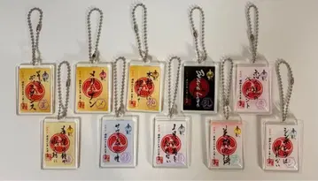 THE ALFEE 가슈인 아크릴 키링 빅에코