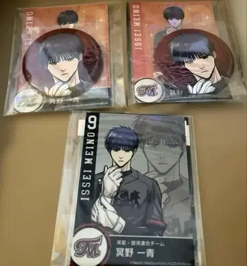 이레귤러즈 메이노 잇세이 캔뱃지 야구 카드 스티커