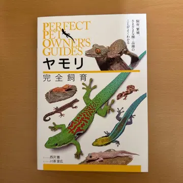 도마뱀 완전 사육 사육, 번식, 다양한 종 품종에 대해 잘 알 수 있다