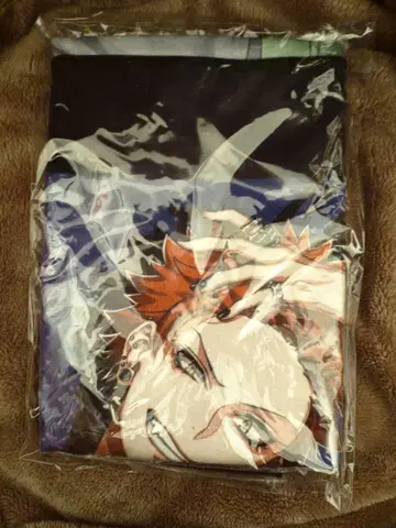 히프노시스 마이크 1번 복권 P상 비주얼 타월