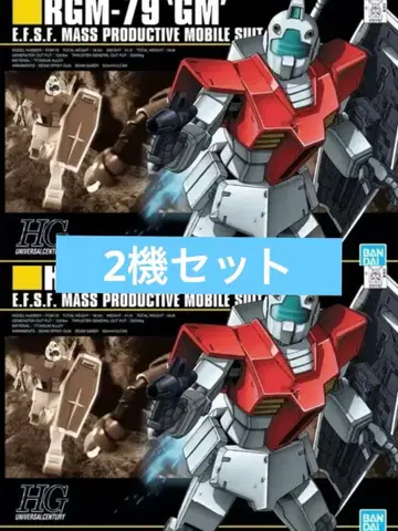 HG 1/144 RGM-79 짐 2개