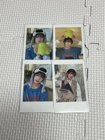 토라 하피카 나나크로니클