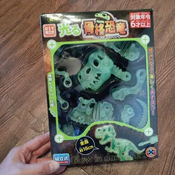 빛나는 골격 공룡 DIY 키트 약 16cm