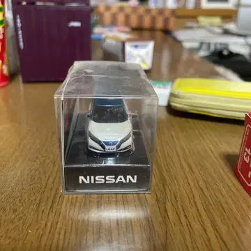 닛산 리프 딜러 컬러 샘플