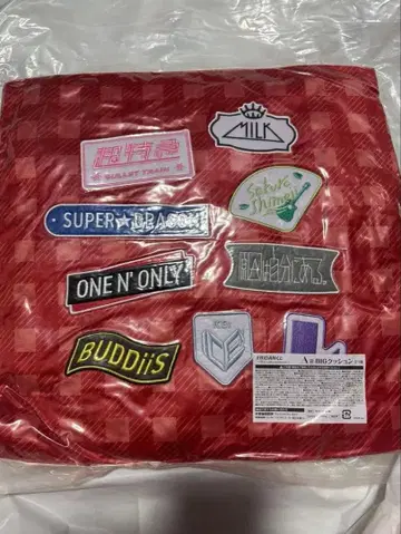 EBiDAN 복권 A상 BIG 쿠션