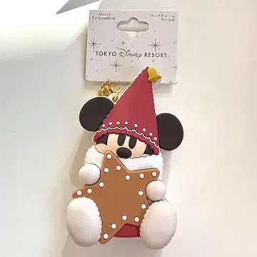 디즈니 크리스마스 릴린린 백참 케이스 포함