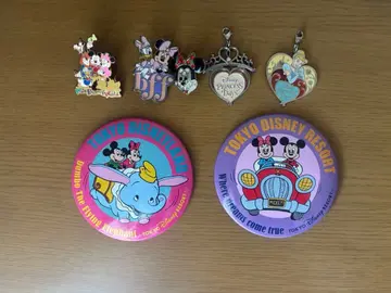 도쿄 디즈니 리조트 핀즈 캔뱃지 세트