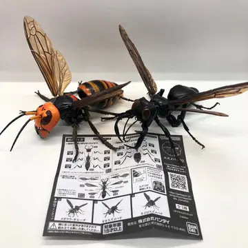 생물대도감 어드밴스 말벌 2체 세트