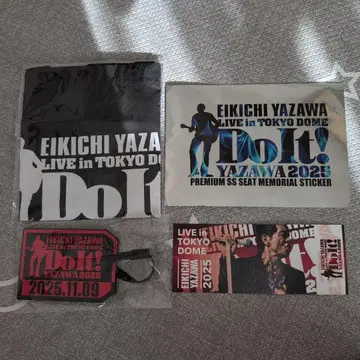 EIKICHI YAZAWA 2025 도쿄돔 라이브 혜택