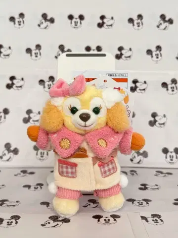 쿠키앤 인형 배지 시크릿 오브 스노위 데이