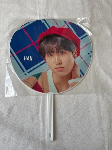 hi-stay 부채 지성 스키즈