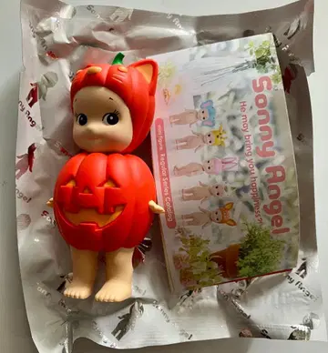 소니 엔젤 호박 캣