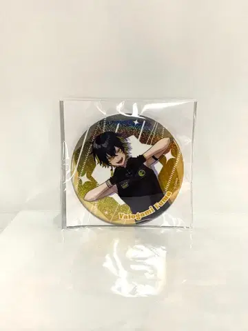 홀로스타즈 홀로스타 요토가미 후마 캔뱃지 GIGO