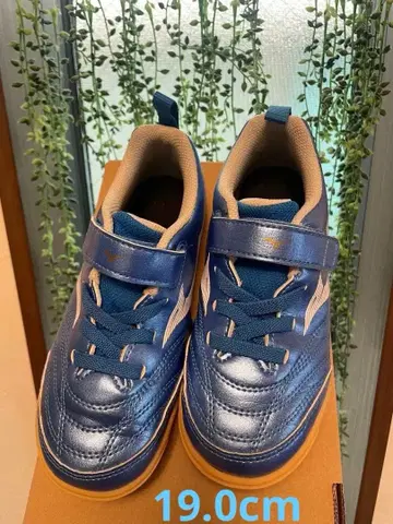 미즈노 모나르시다 NEO 3 19.0cm 3E 실내화