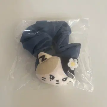 zeroni 복권 리니니 스크런치 리키