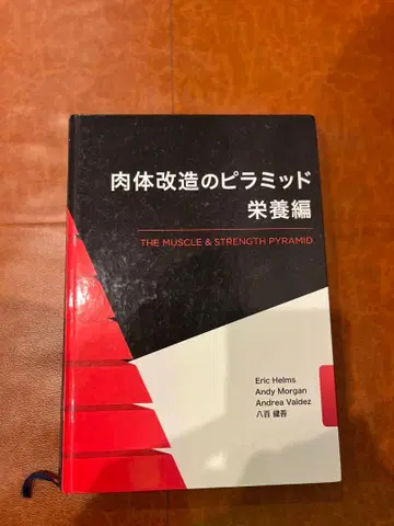 신체 개조의 피라미드 영양편