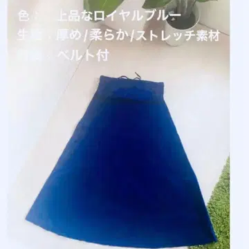 겨울 [컨디션 최상] 스트레치 벨로아 A라인 플레어 로얄 블루