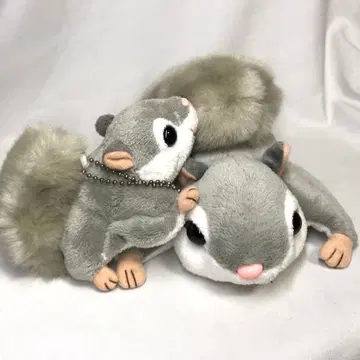 홋카이도 하늘다람쥐 봉제 인형 마루야마 동물원