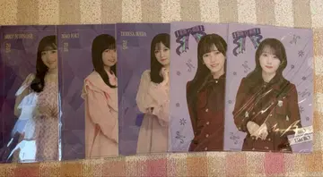 클리어 파일 5매 세트