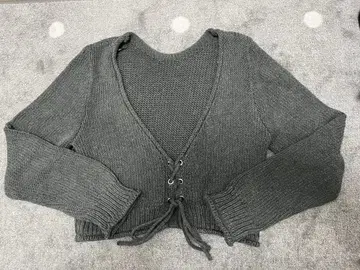 ZARA 그레이 V넥 크롭 스웨터