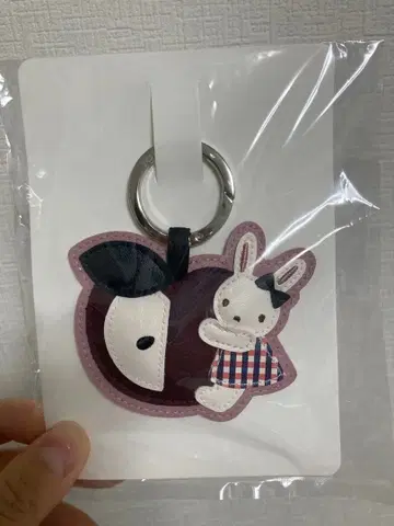 패밀리아 가을 패밀리아 쇼 사과 참 토끼