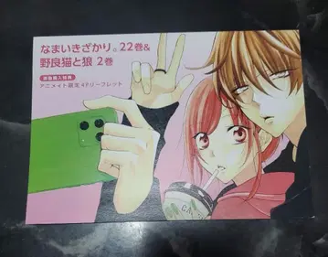 건방진. 길고양이와 늑대