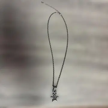 아르테미스 클래식 플로럴 스타 참 목걸이 silver925