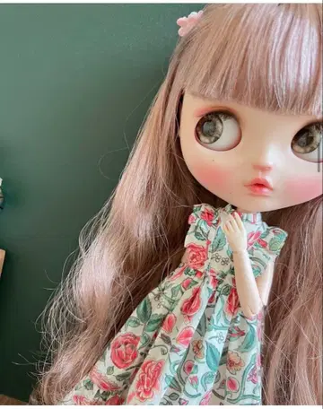 커스텀 브라이스 유명 작가님