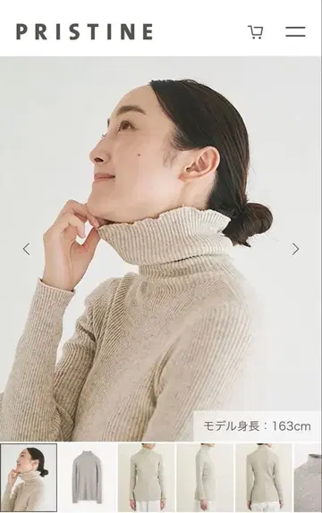 프리스틴 / 리브 터틀