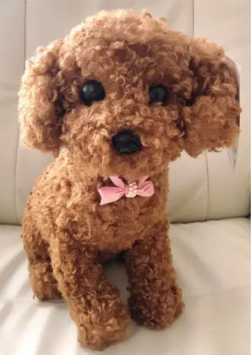 [ 택 포함 새상품 ] 토이 푸들 봉제 인형 리얼 실물 크기 목걸이 증정